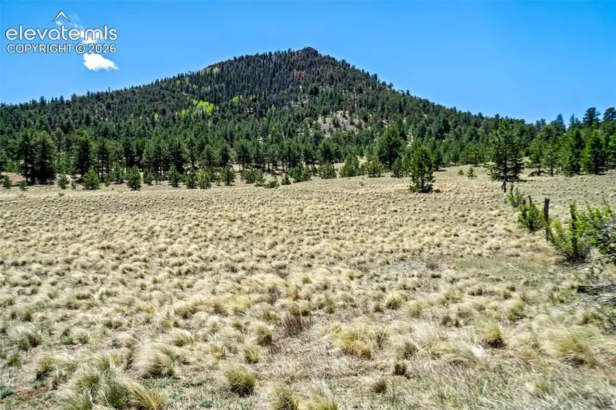 0 Roan Trail, Guffey, CO 80820 - #2