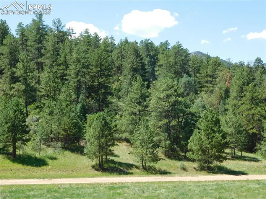 4668 Comanche Drive, Larkspur, CO 80118 - #2