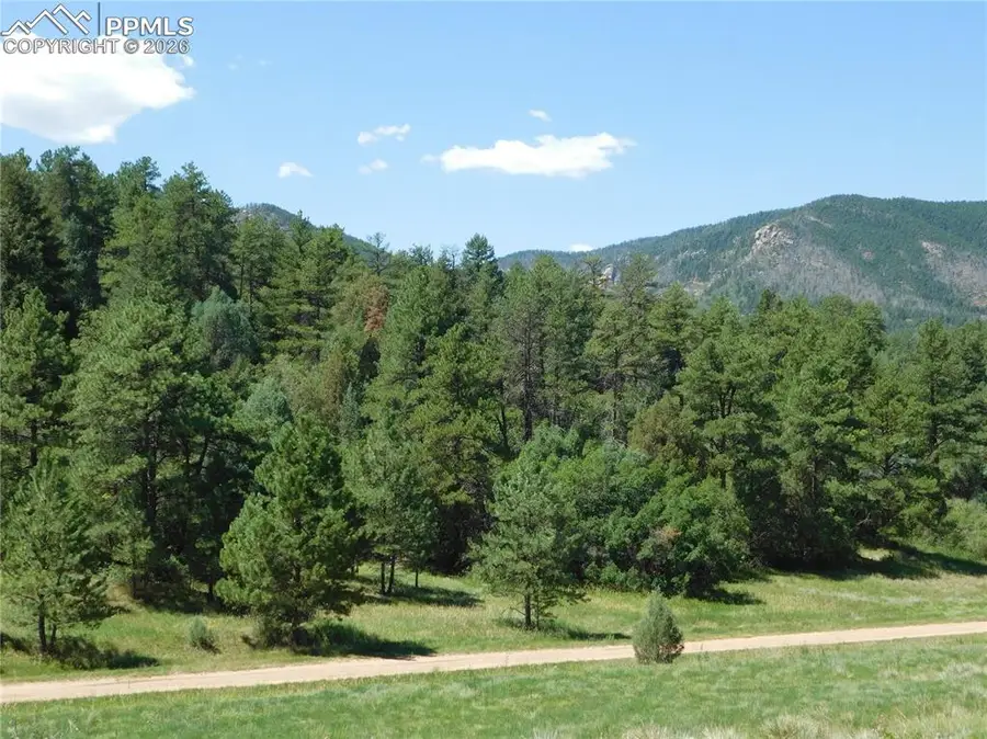 4668 Comanche Drive, Larkspur, CO 80118 - #3