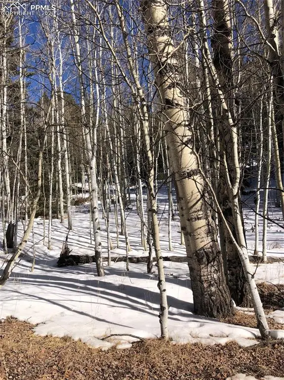 3015 N Mountain Estates Road, Florissant, CO 80816 - #2