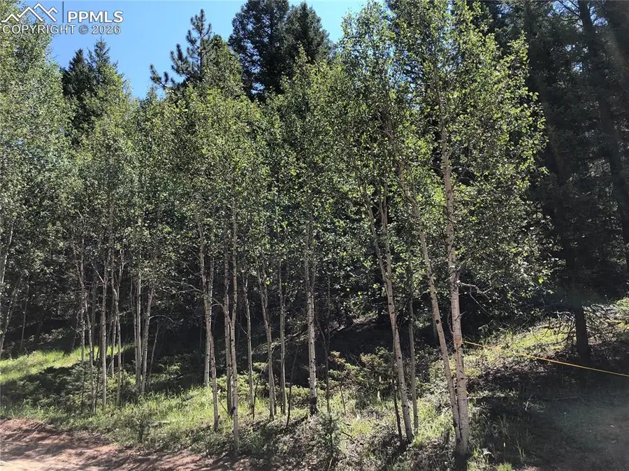 3015 N Mountain Estates Road, Florissant, CO 80816 - #3