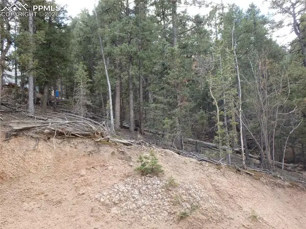 620 Wakanda Trail, Woodland Park, CO 80863