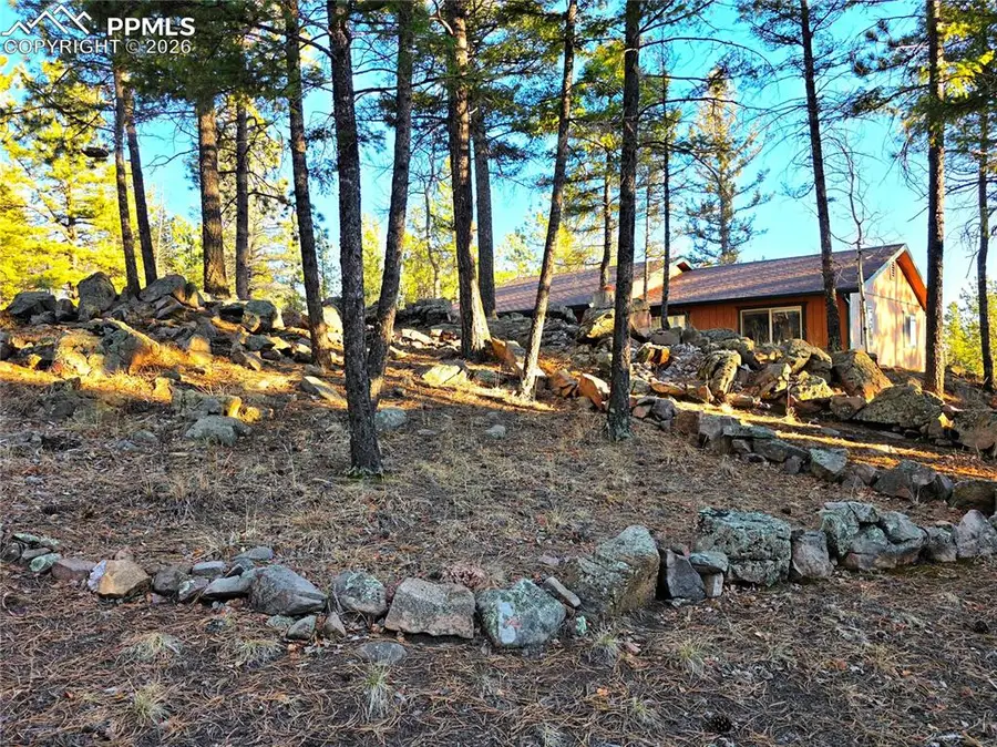 2063 Vagabond Creek Drive, Lake George, CO 80827 - #3