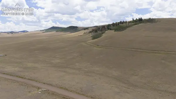Lot 3912 County Road 53, Hartsel, CO 80449