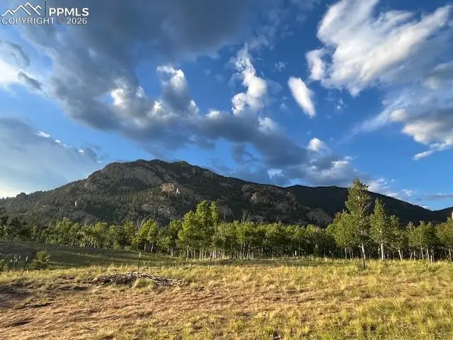 206 Emerald Way, Lake George, CO 80827 - #3