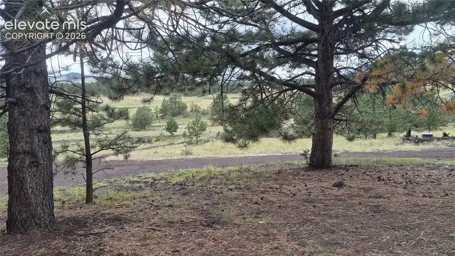 504 County Road 59, Guffey, CO 80820 - #2