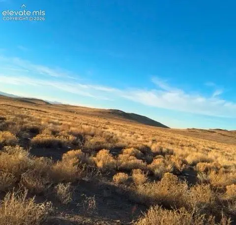 County 21 Road, Manassa, CO 81141 - #2