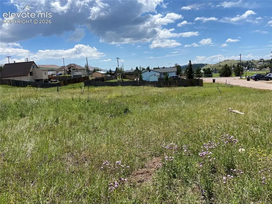 N A Street, Cripple Creek, CO 80813 - #3