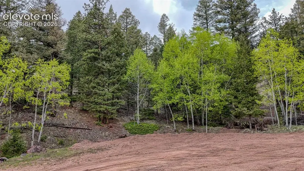 918 Pinon Lane, Florissant, CO 80816 - #1