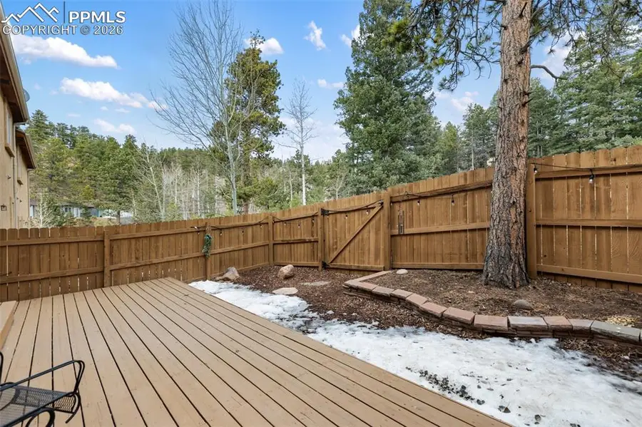 133 Elk Grove Lane, Woodland Park, CO 80863 - #3
