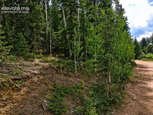 2462 Anges Drive, Cripple Creek, CO 80813