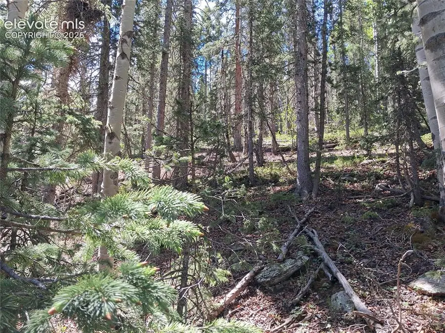2462 Anges Drive, Cripple Creek, CO 80813 - #2