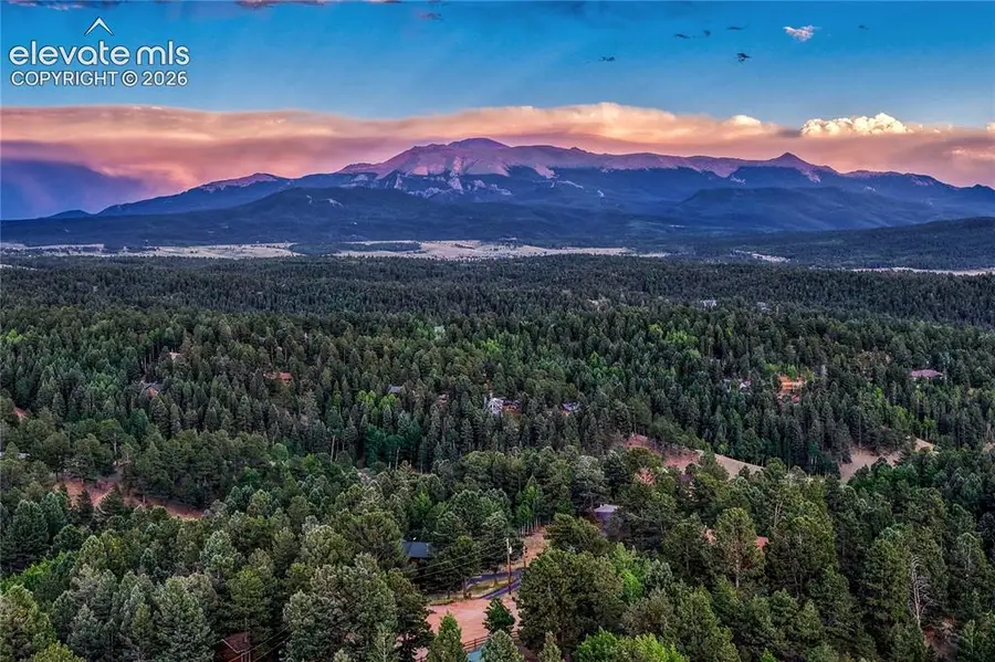 78 Barr Lake Circle, Divide, CO 80814 - #2