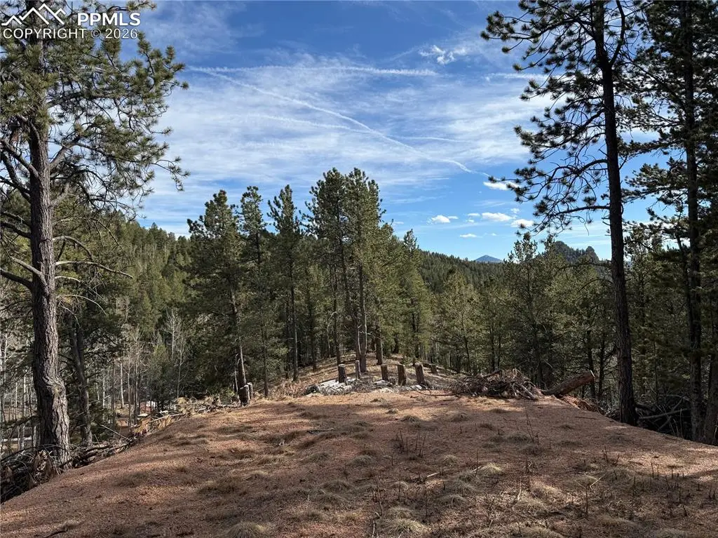 162 Eagle Drive, Divide, CO 80813 - #1