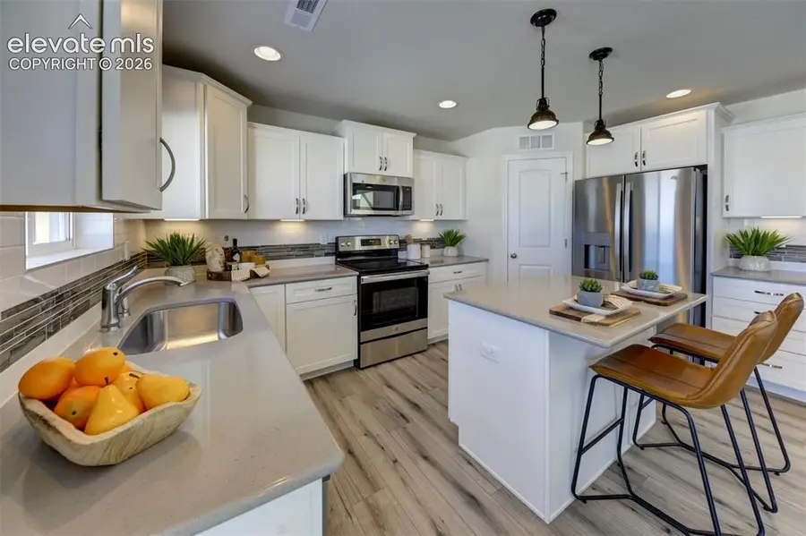 8230 Lemon Grass Road, Falcon, CO 80831 - #3