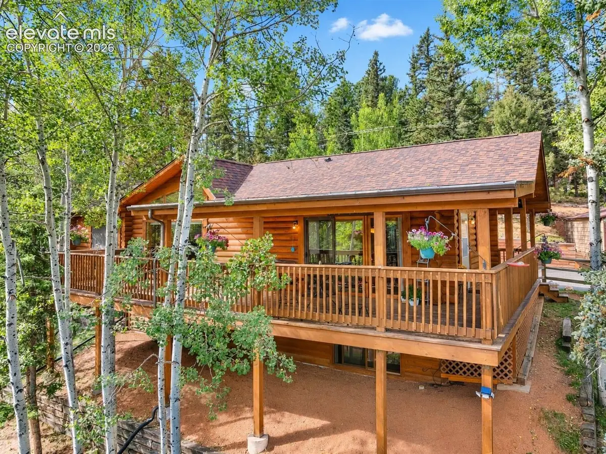 1369 Spring Valley Drive, Divide, CO 80814 - #1