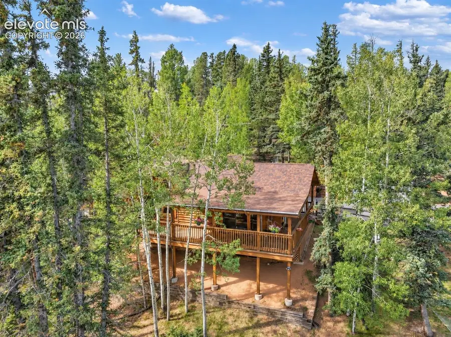 1369 Spring Valley Drive, Divide, CO 80814 - #3