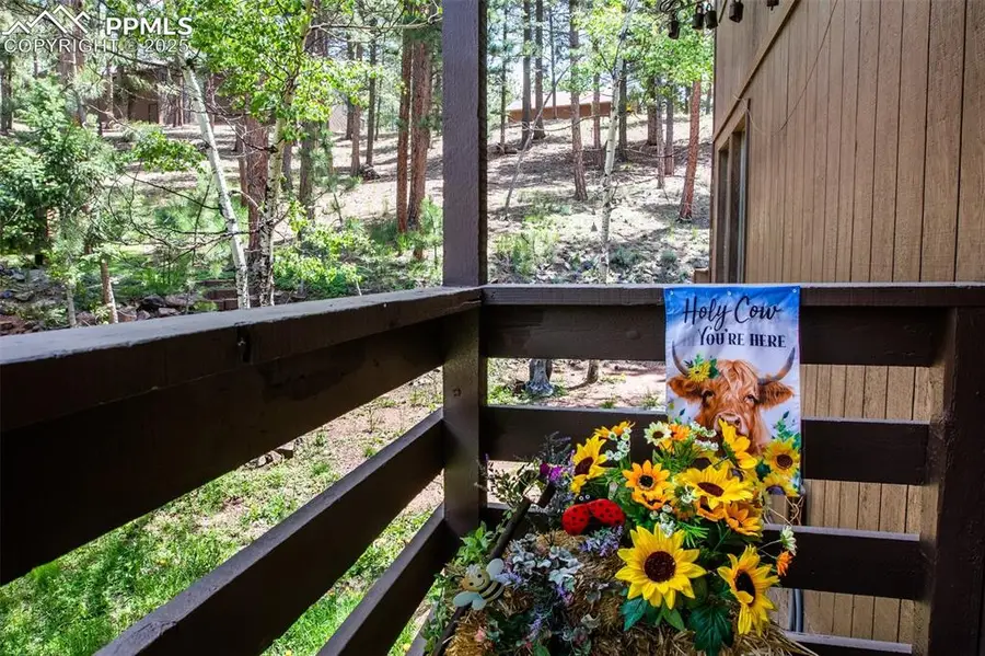 560 Manor Court #A, Woodland Park, CO 80863 - Image #3