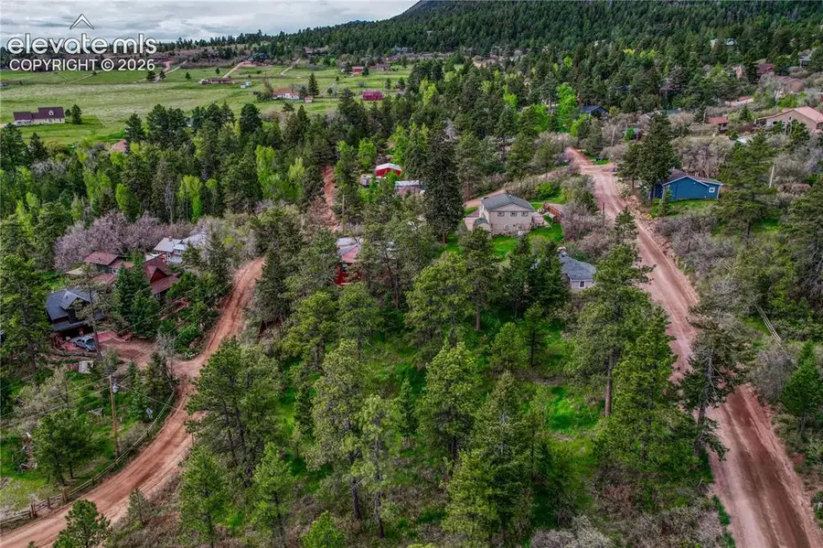 Virginia Avenue, Palmer Lake, CO 80133 - #2