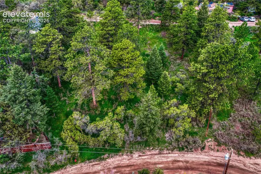 Virginia Avenue, Palmer Lake, CO 80133 - #3