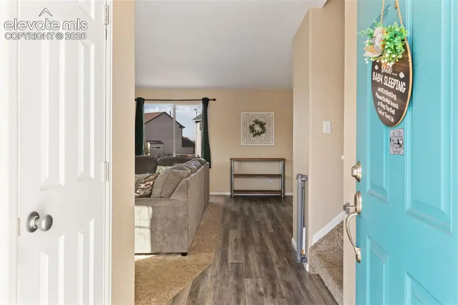 10964 Tidal Run Circle, Fountain, CO 80817 - #3
