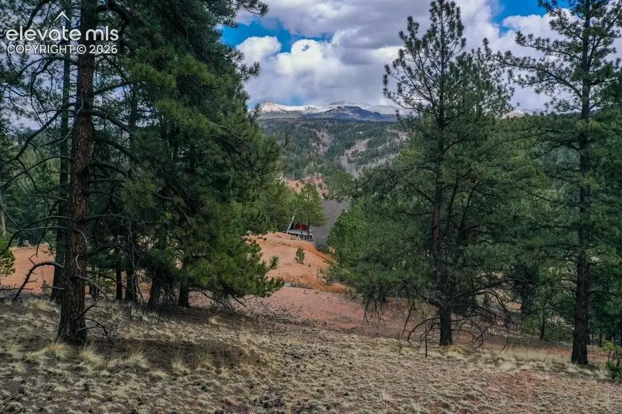 102 Blue Bell Circle, Cripple Creek, CO 80813 - #2