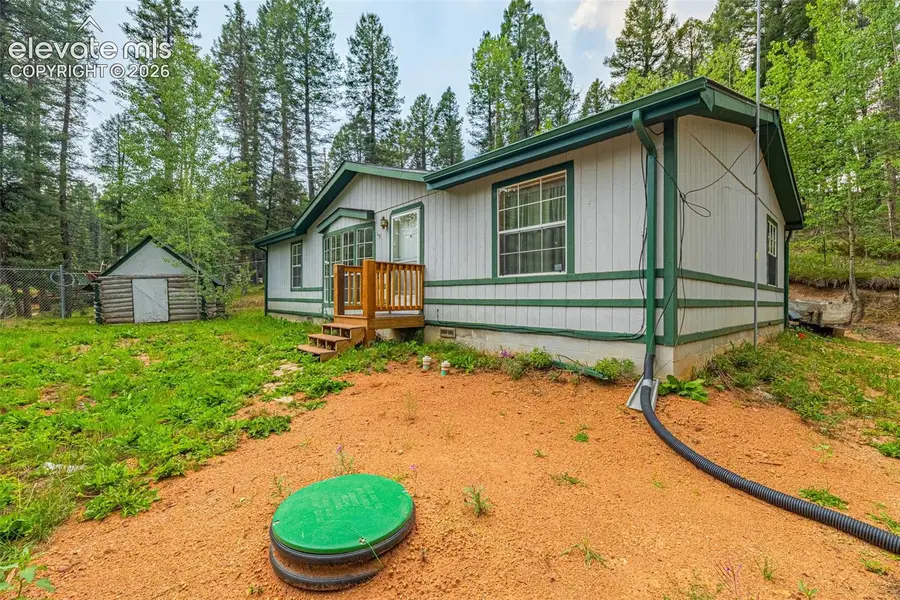 22 Silver Trail, Florissant, CO 80816 - #2