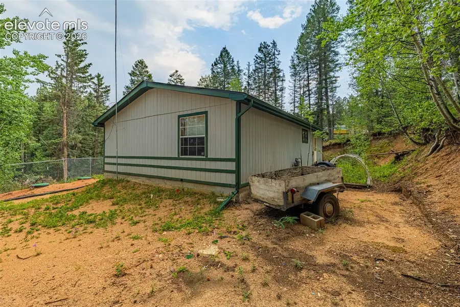 22 Silver Trail, Florissant, CO 80816 - #3