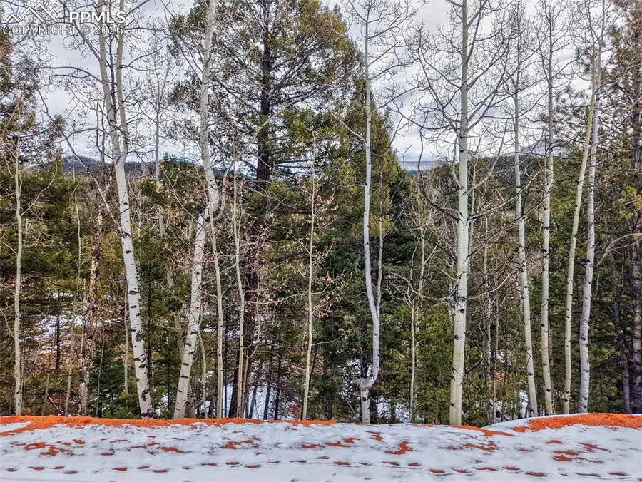 1181 Calcite Drive, Divide, CO 80814 - #2