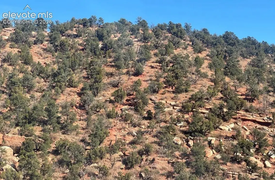 Holtz Street, Manitou Springs, CO 80829 - #1