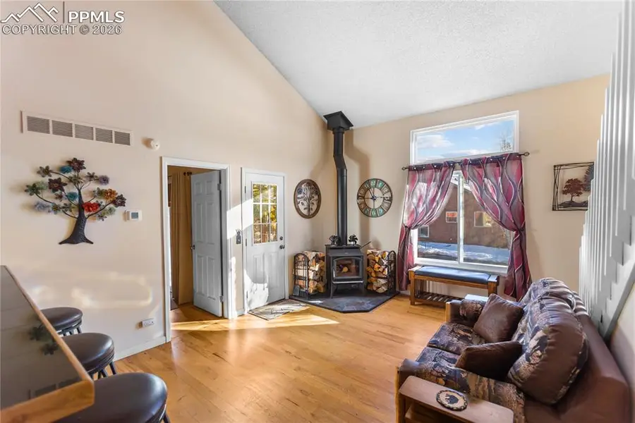 215 S Park Street, Woodland Park, CO 80863 - Image #3