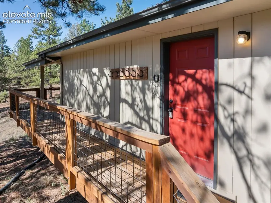 62 White Trail, Lake George, CO 80827 - #3