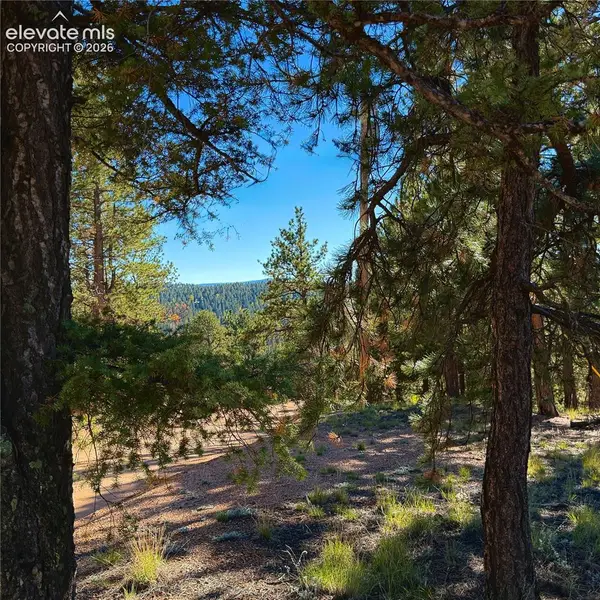 31 Pike View Circle, Divide, CO 80814