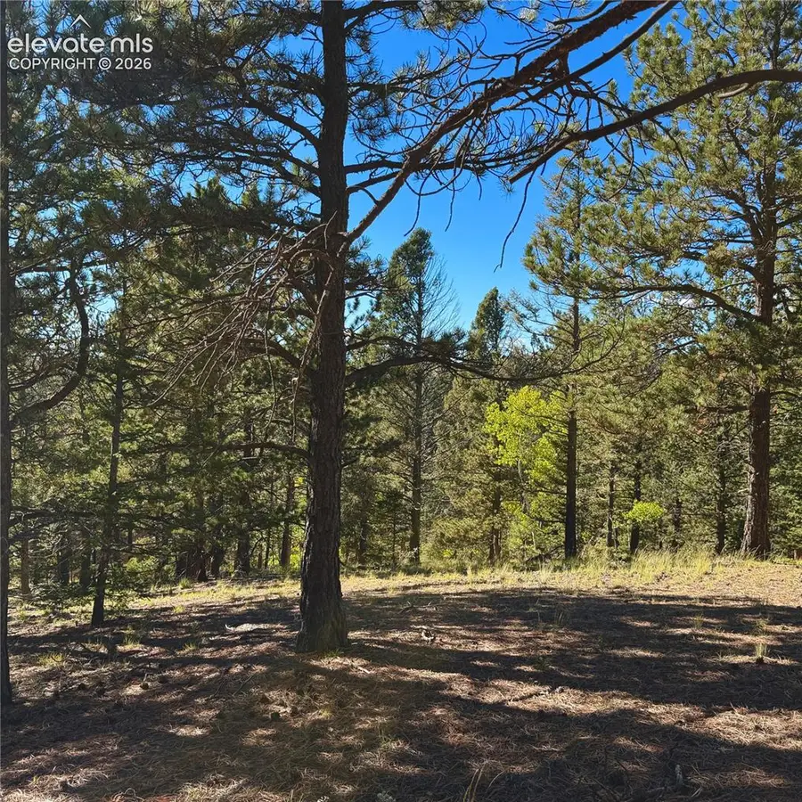 31 Pike View Circle, Divide, CO 80814 - #2
