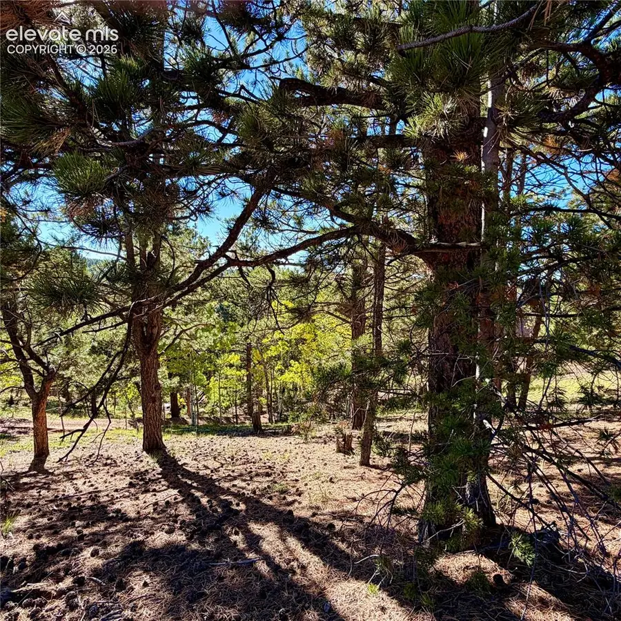 31 Pike View Circle, Divide, CO 80814 - #3