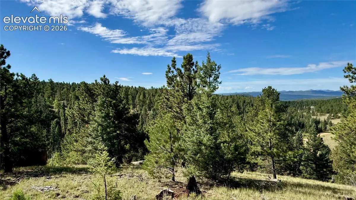 196 Beaver Creek Circle, Florissant, CO 80816 - #1