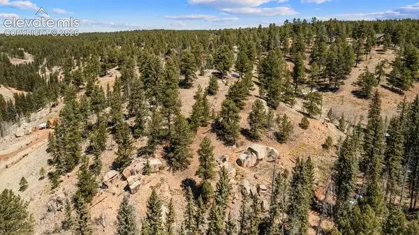 196 Beaver Creek Circle, Florissant, CO 80816