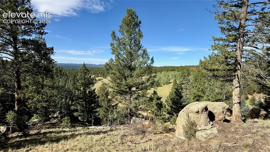 196 Beaver Creek Circle, Florissant, CO 80816 - #3