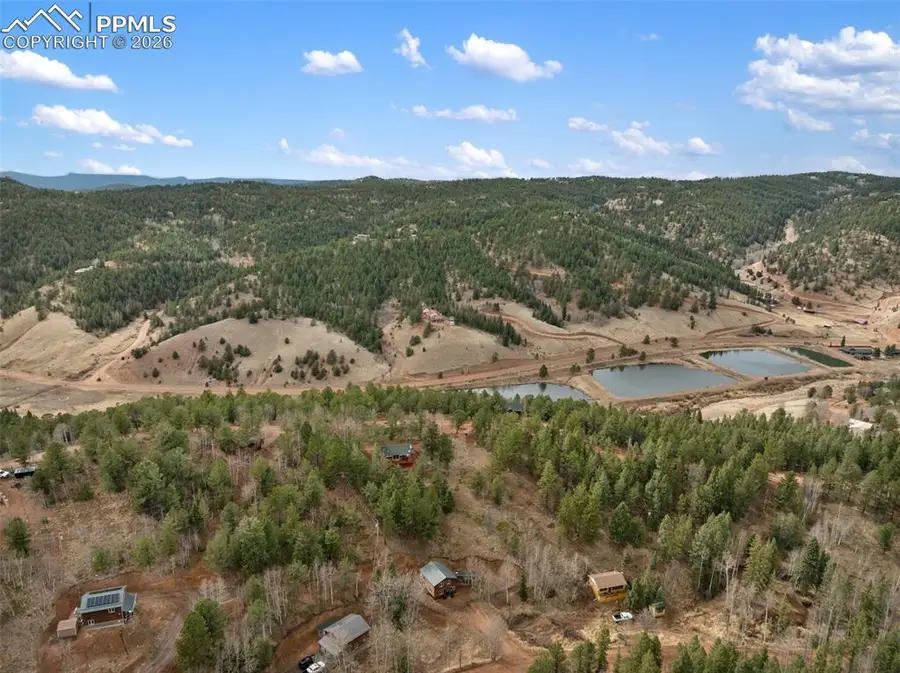 325 Willow Road, Divide, CO 80814 - #3