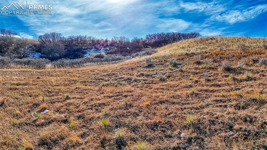 Michener Drive, Colorado Springs, CO 80907 - #2