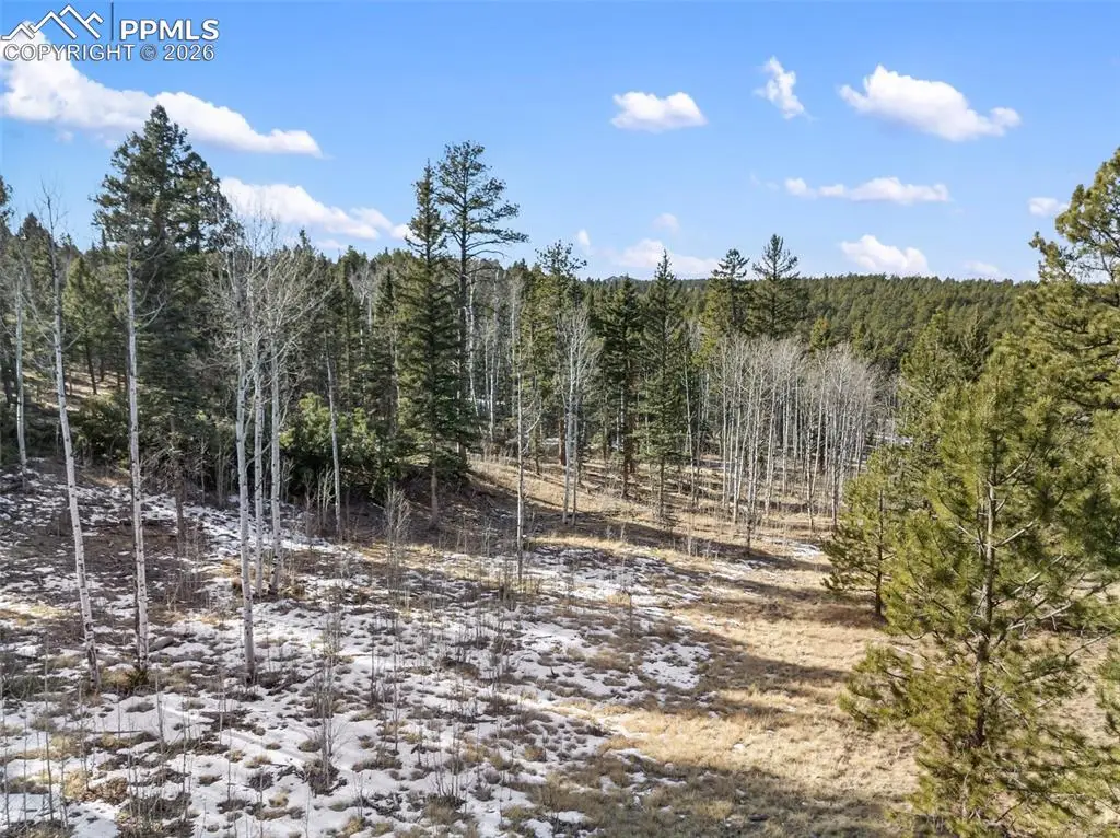 Lot 20A Echo Lake Drive, Lake George, CO 80827 - Image #1