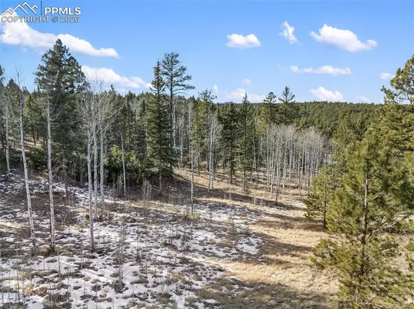 Lot 20A Echo Lake Drive, Lake George, CO 80827