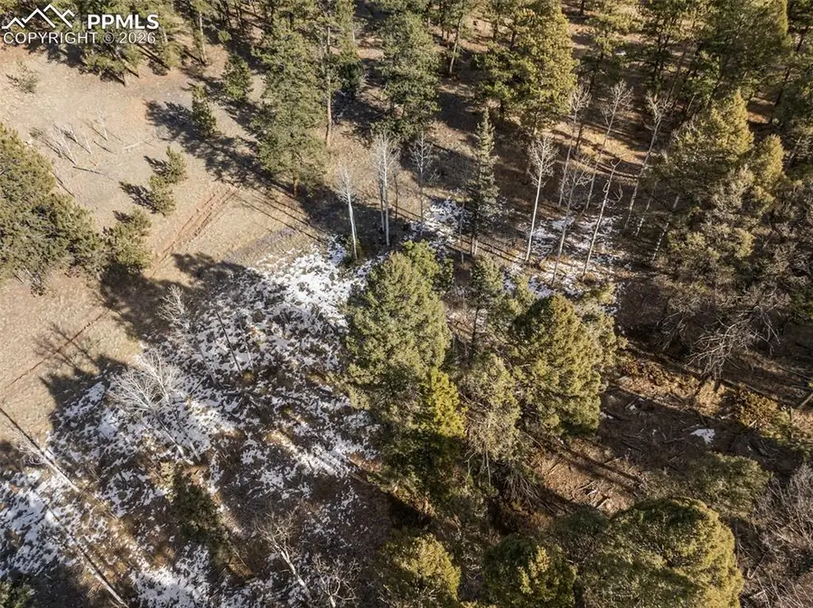 Lot 20A Echo Lake Drive, Lake George, CO 80827 - Image #3