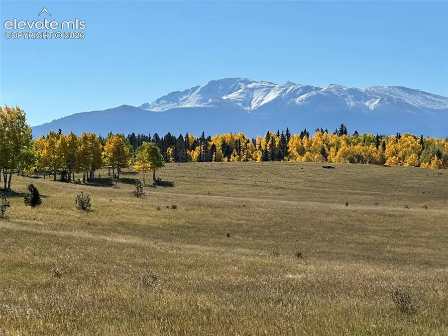 2940 North Road, Divide, CO 80814 - #2