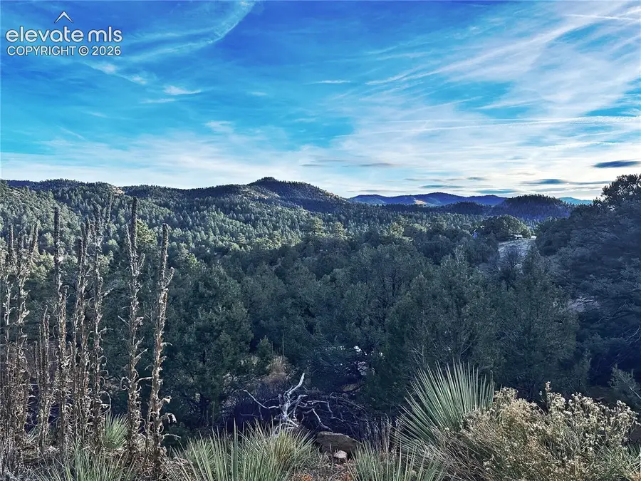 2973 Driftwood Road, Westcliffe, CO 81252 - #2