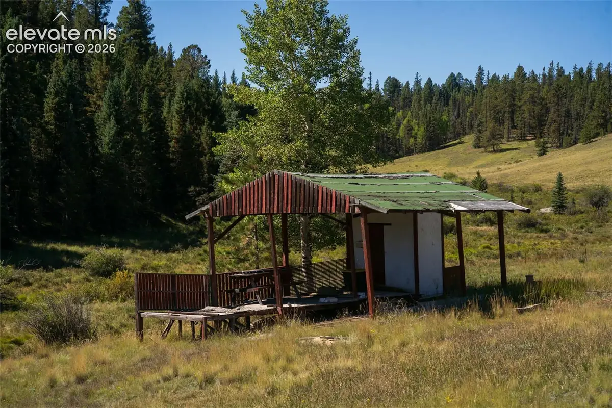 101 Navajo Circle, Divide, CO 80814 - #1