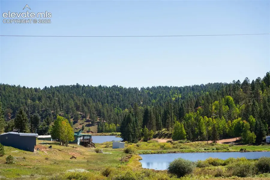 101 Navajo Circle, Divide, CO 80814 - #2