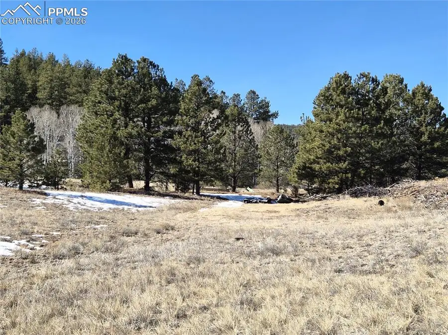 38340 Us Highway 24, Lake George, CO 80827 - #3