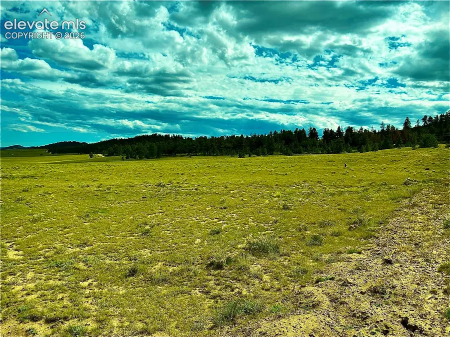 3984 Elkhorn Road, Hartsel, CO 80449 - #3