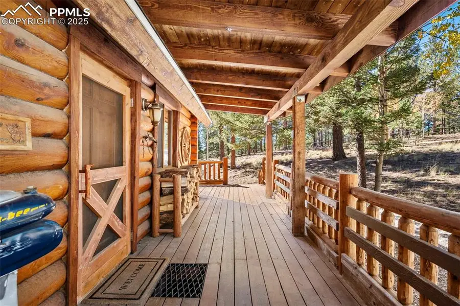 70 Cheesman Lake Circle, Divide, CO 80814 - #3